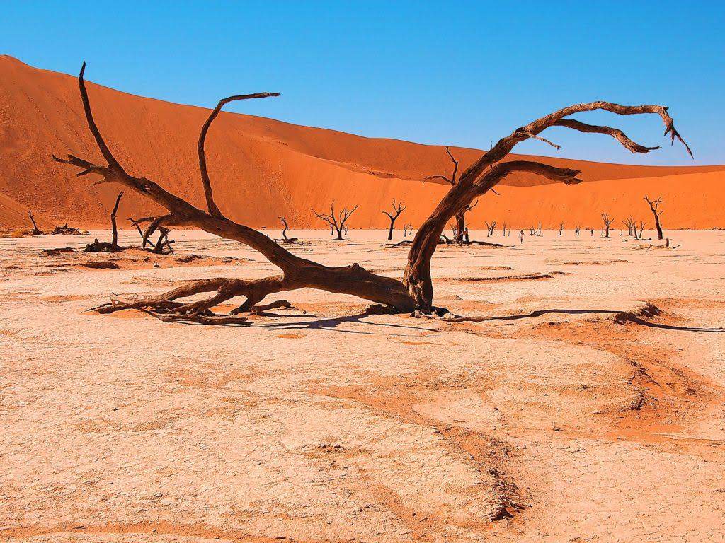 Пустыня Намибия
