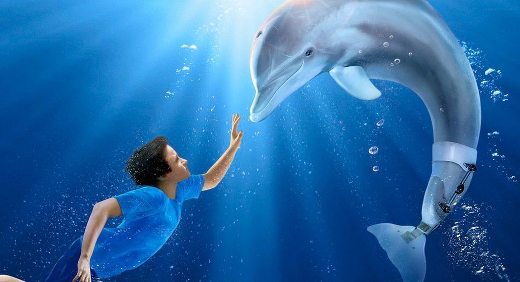 фильмы про дельфинов